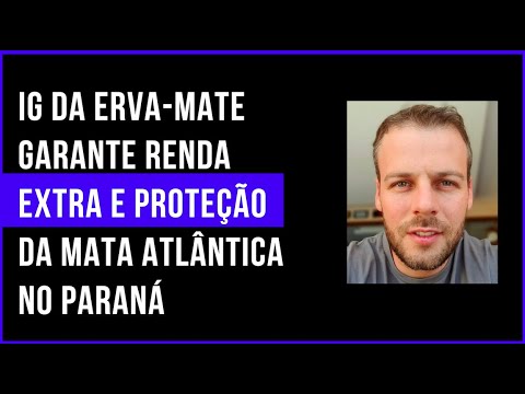 4.0 no Campo: IG da Erva-Mate garante renda extra e proteção da Mata Atlântica no Paraná