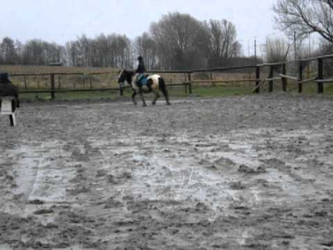 Ruiterclub Stal Léon: Dressuurstage Yara & Alfie