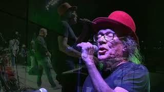 Brave Combo - Celebrating Steins Under the Stars, Live at the Levitt!