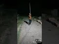 Jagte Raho Jagte Raho