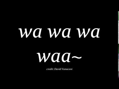 WA WA WA WAA~