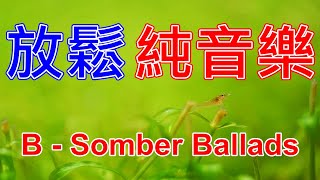 純聽歌 | 一堆小蝦子亂飛 | 準備給鬥哥一個新家 | shrimp tank relax music | B - Somber Ballads