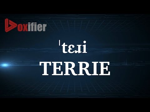 How to Pronunce Terrie in English - Voxifier.com