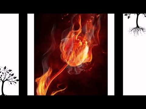 Md & cortesia da casa -  fuego