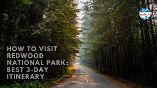 The Best 3-Day Road Trip Itinerary Through California Redwood National Park