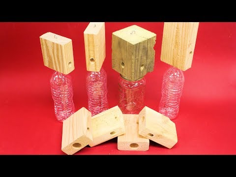Carpenter Bee Trap