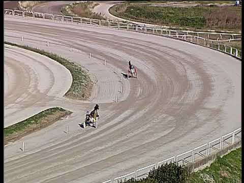 Trotto 24/12/2019 - prova di qualifica