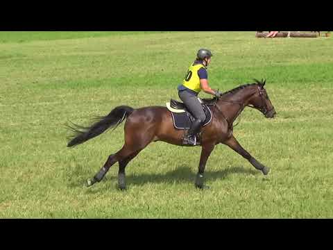 Sonja Kager - Henry K - V90 (A leicht) - Ried am Riederberg 2018