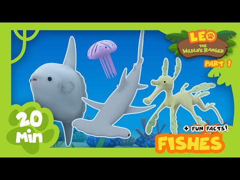 Fishes (Part 1/2) - Fun & Educative Animals Stories for Kids | Leo the Wildlife Ranger