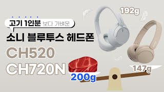 SONY WH-CH520 (해외구매)_동영상_이미지