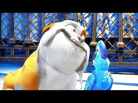 RIO CLIP COMPILATION (2011)