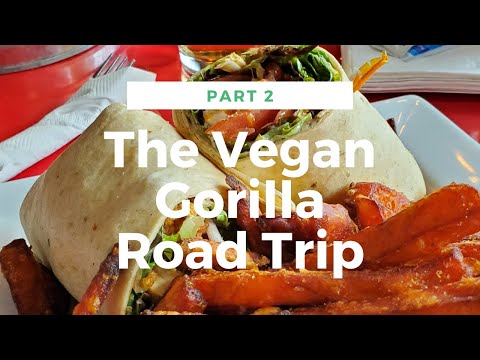 The vegan Gorilla Part 2 Road Trip. What Do I "A Vegan" Eat While Travelling?