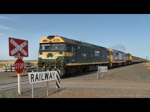 7731V Pacific National Grain Train, VHAF & NGPF Hoppers (3/12/2020) - PoathTV Australian Railways