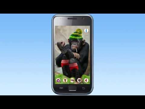 Bad Talking Monkey Video