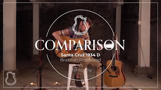 Video thumbnail for Comparison: Santa Cruz 1934 D Mahogany vs Brazilian Rosewood by Carter Vintage Backstage