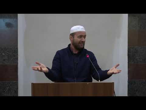 Sulejmani dhe milingonat