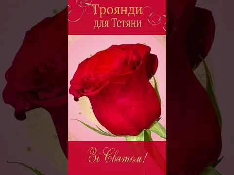 Троянди для Тетяни. Зі святом!#short #shortvideo  #тетяниндень