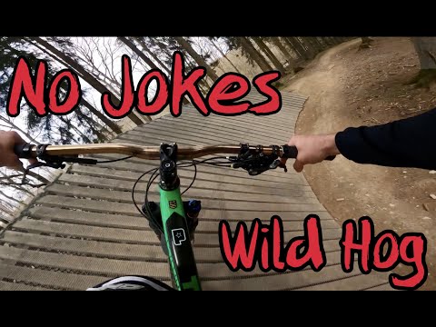 Flowtrail Stromberg alle Strecken - Wild Hog & No Jokes Trail | 2021