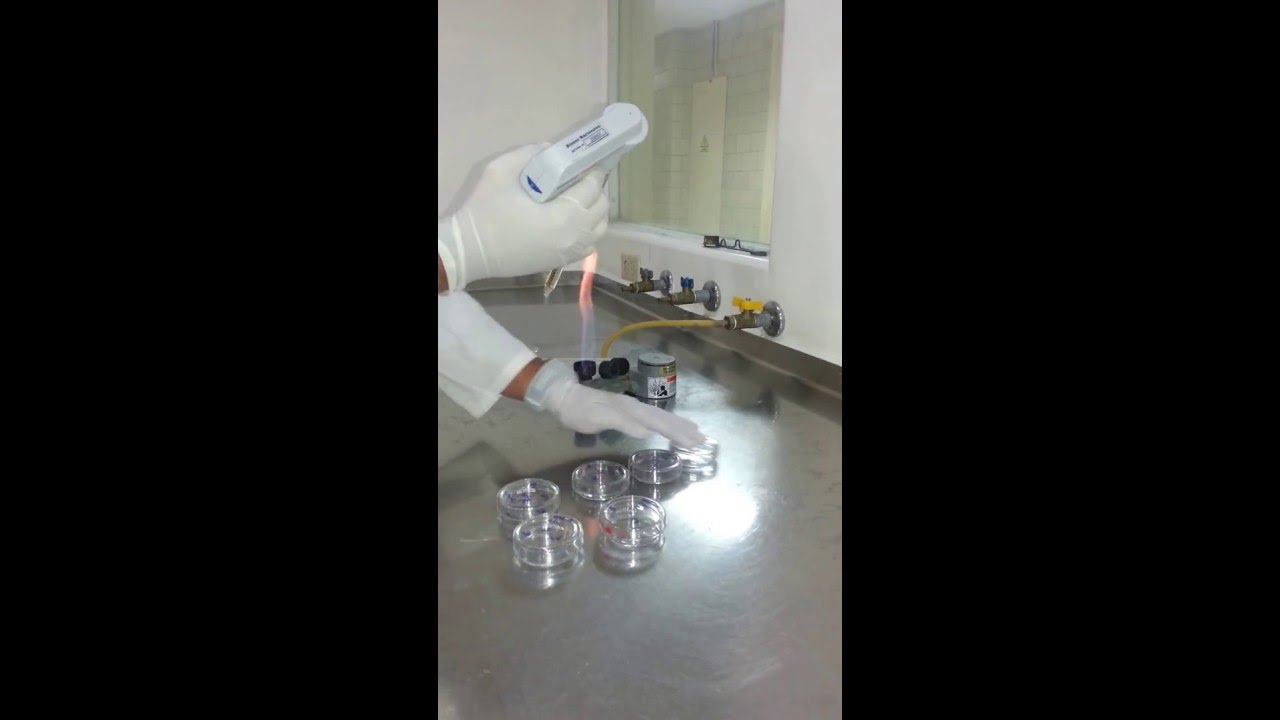 Preparación de placas de agar cetrimide