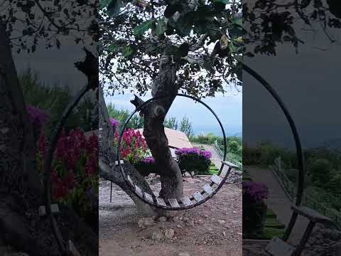 Mirante da Carranca | A vista mais incrível de Martins, RN!