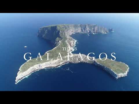 Galapagos Islands Diving Liveaboard | Aggressor III Dive Yacht Experience 🚢
