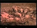 VHS Openings Tarzan 2000 UK