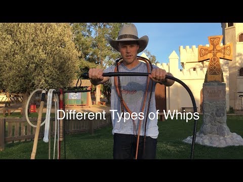 Types of Whips: a Comparison