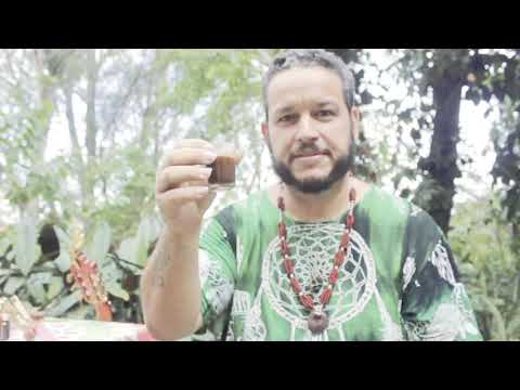 Ayahuasca e Xamanismo - Série Povo da Ayahuasca