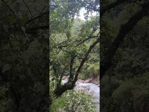 🌄🏜️Rio Yala en el camino hacia las lagunas de Yala Jujuy #2, Febrero 2026🌵🌲🌞