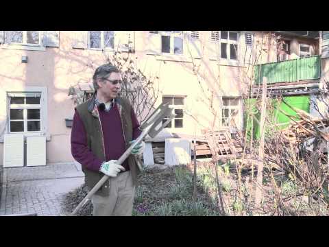 John Scarman: Rosen- & Gartenberatung - Experte aus England, bekannter Autor u. Kursleiter