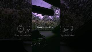 Download lagu Beautiful Quran recitation | Surah As-Sajdah | Islam Sobhi #quran #quranrecitation mp3 Download lagu Beautiful Quran recitation | Surah As-Sajdah | Islam Sobhi #quran #quranrecitation mp3