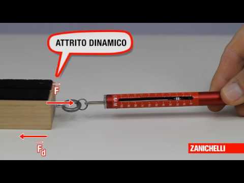 LABORATORIO Forza di attrito ROMENI ZANICHELLI