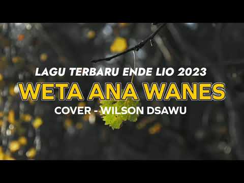 LAGU TERBARU ENDE LIO 2023 | WETA ANA WANES - COVER WILSON DSAWU (OFFICIAL LYRIC VIDEO).