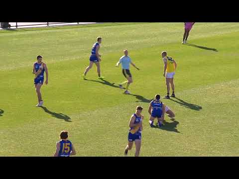 Charlie Dean Highlights