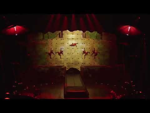 Cirque Du Soleil OVO (Trampoline Wall)