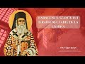 PARACLISUL Sfântului NECTARIE De La Eghina Vlad Roșu