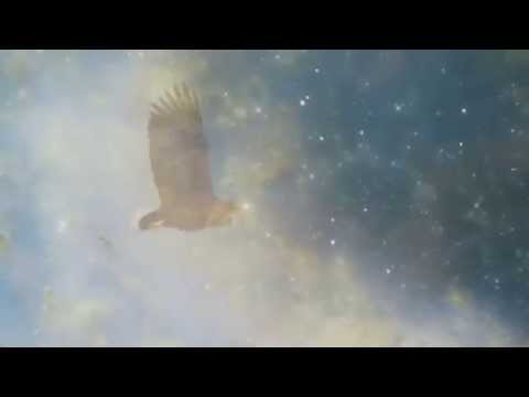 Igor Semchenko - Fly Away