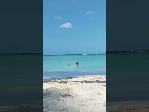 Videos del Wyndham Alltra Samana 4★ en Las Galeras, República DominicanaVer MásVerPrecios16CerrarConsulta por Whatsapp 🇦🇷BookingTripadvisorExpediaAgodaTravelocityOrbitzPricelineTripSkyscannerDespegarHotelesBestdayDestiniaTrivagoLastminuteTui
