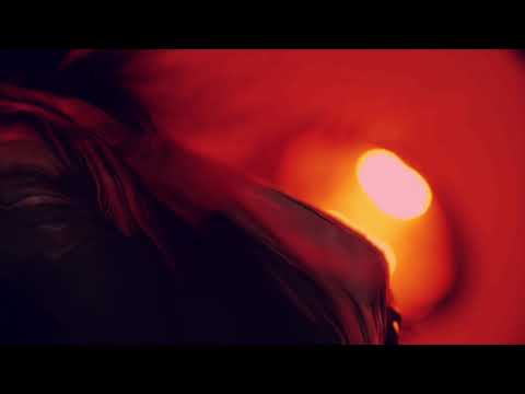 ⚜️WF GAWIN⚜️ Arabian colt