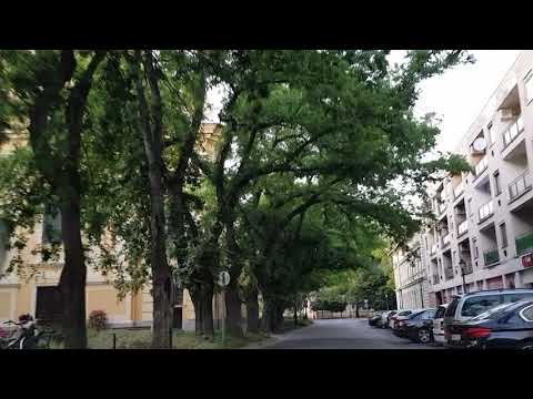 GYULA 2019.09.01 KÖRFORGALOM