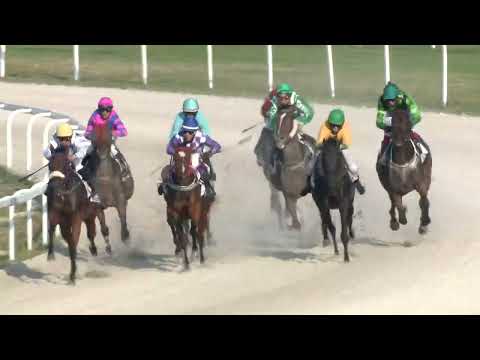 2022.08.28. 08. futam - RAMONA RACING HENDIKEP (III.o.) (szintetikus pálya)