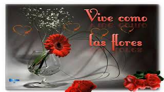 FELIZ FIN DE SEMANA!!!..VIVE COMO LAS FLORES....PARA TI..