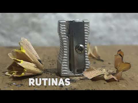 Niños de primaria hablan sobre sus rutinas