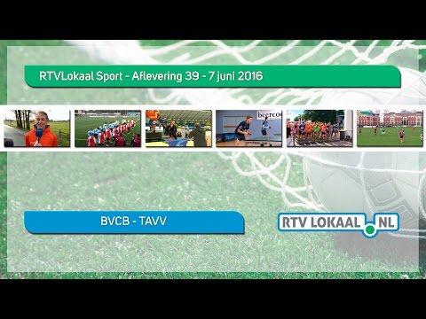 BVCB TAVV Samenvatting