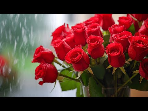 The most beautiful melody in the world! This music can be listened to forever! Great music Sergey Gr