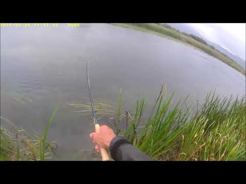Gacka river  Licko Lesce (HR) fly fishing
