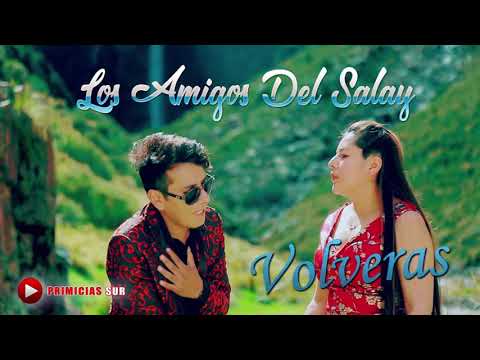 Los Amigos Del Salay - Volveras ( Audio Oficial HD 2021 ) PRIMICIAS SUR
