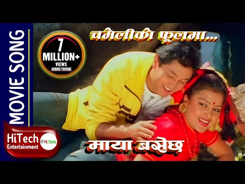 Chameliko Phoolma | Maya Basechha Nepali Movie Song | Rajesh Hamal | Rekha Thapa | Nawal Khadka