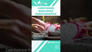 Vitamin C & Karotenoid dalam Buah Naga Dapat Meningkatkan Imunitas Tubuh, Ini Manfaatnya