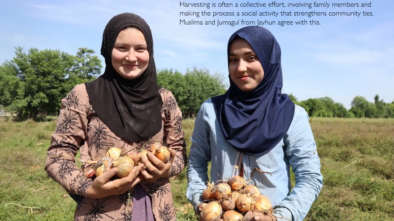 Women Who Work: Agriculture Engines
